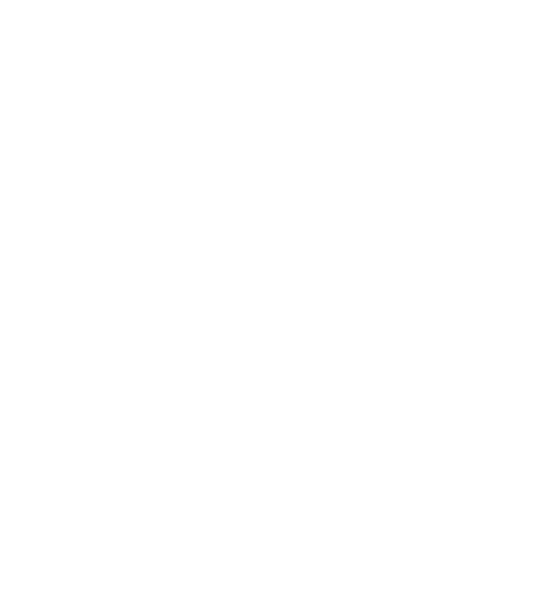 Boatman Systems